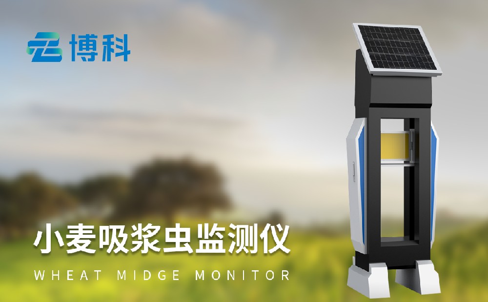 小麥吸漿蟲防治方法有哪些，小麥吸漿蟲測報儀