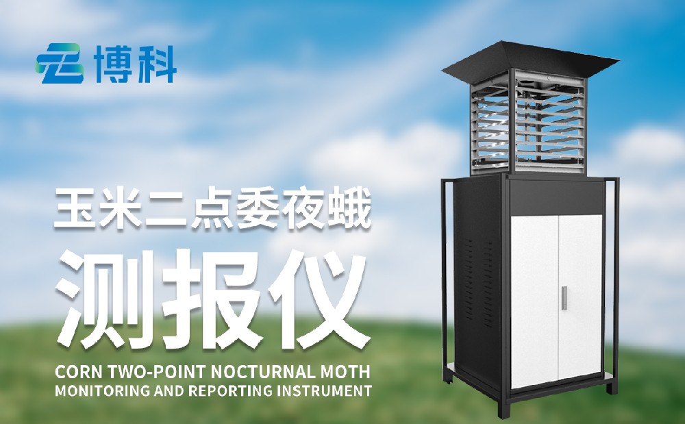 玉米二點(diǎn)委夜蛾的危害性和治理手段，玉米二點(diǎn)委夜蛾監(jiān)測(cè)儀